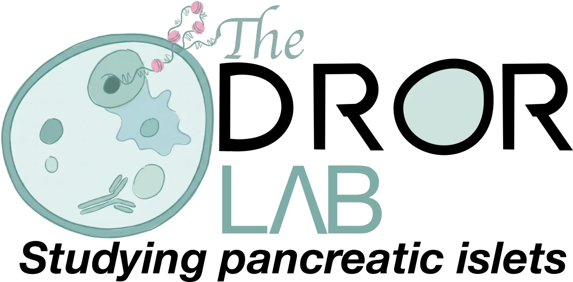 Erez Lab Dror Logo